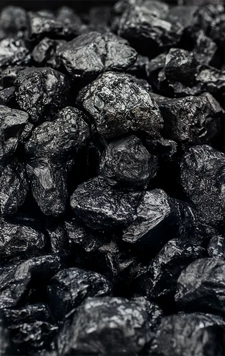 Coal